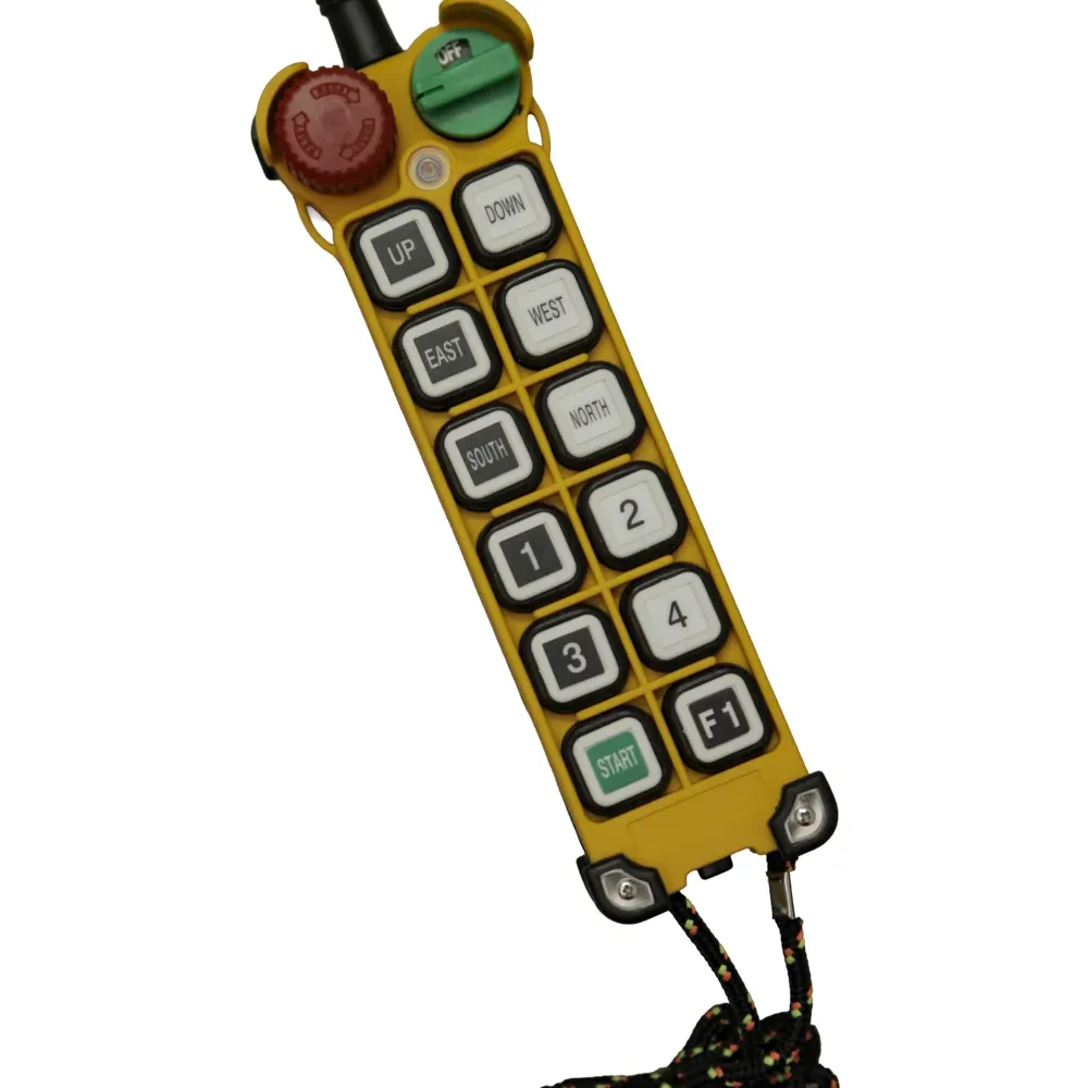 F24-12D Remote Control  (1T)